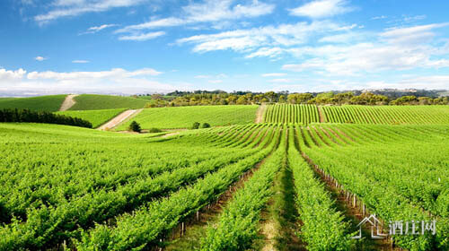 阿德莱德平原产区 Adelaide Plains