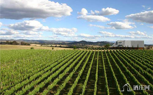 比奇沃思产区 Beechworth