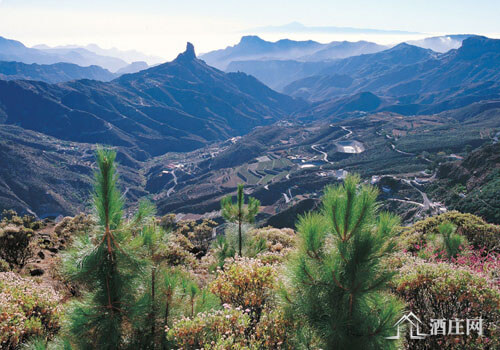 大加纳利岛产区 Gran Canaria