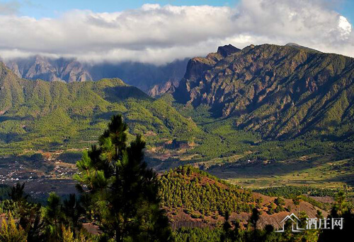 拉帕尔马产区 La Palma