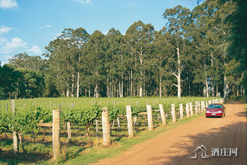 曼吉马普产区 Manjimup