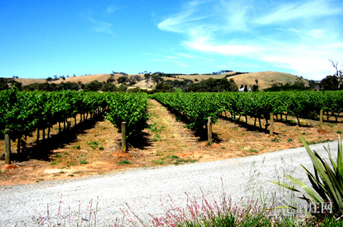 迈拉仑维尔产区 McLaren Vale