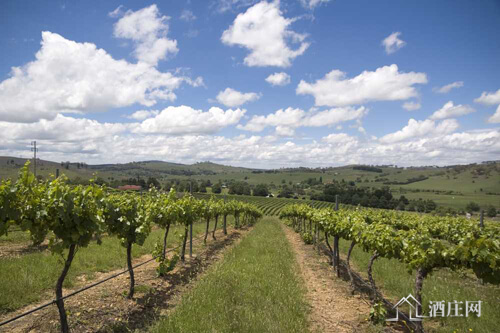 马奇产区 Mudgee