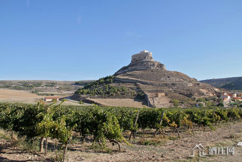 杜埃罗河岸产区 Ribera del Duero