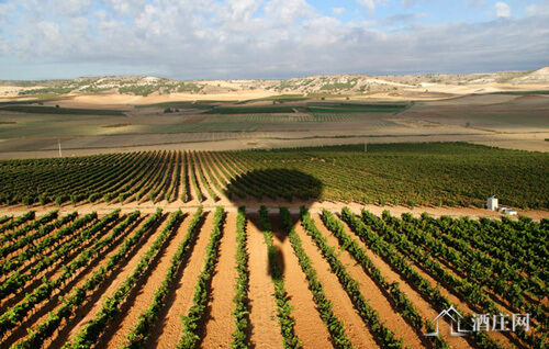 瓜迪亚纳河岸产区 Ribera del Guadiana