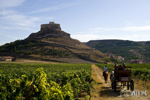 胡加尔河岸产区 Ribera del Jucar