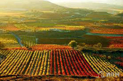 里奥哈产区 Rioja