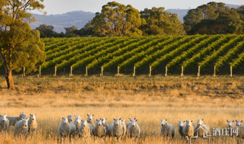 斯特拉斯博产区 Strathbogie Ranges