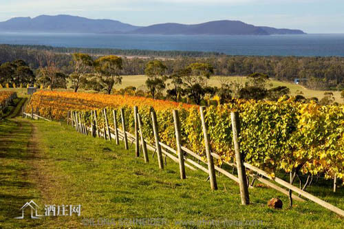 塔斯马尼亚产区 Tasmania