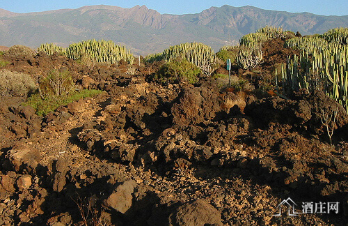 基玛谷产区 Valle de Guimar