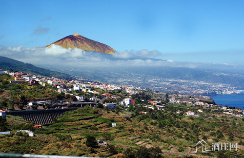 奥霜塔瓦峡谷产区 Valle de la Orotava