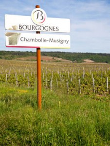 Chamboll-Musigny_s