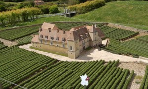 Chateau du Clos Vougeot