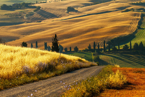 tuscany_s