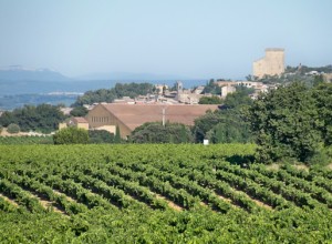 Chateauneuf_du_Pape_s