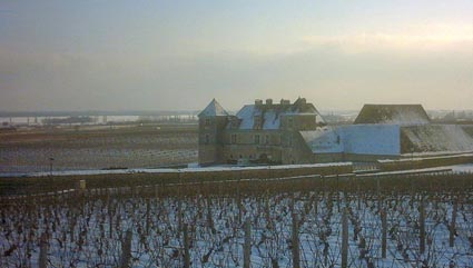bourgogne vineyard_s