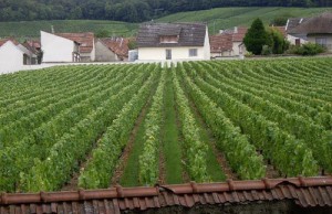 clos-du-mesnil