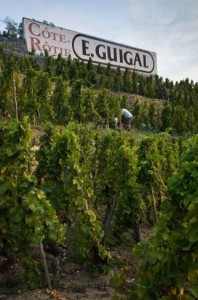 eguigal_vineyard