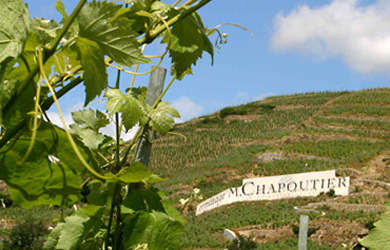 vin-chapoutier_s