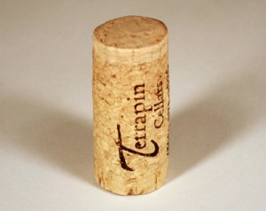 Technical Cork_s