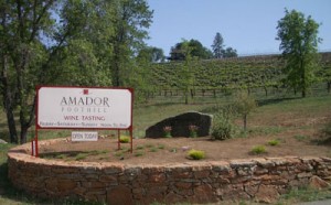 Amador Foothill Winery