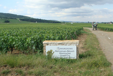 Bienvenues-batard-montrachet_f