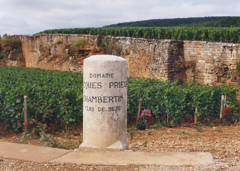 Chambertin Clos de Beze_f