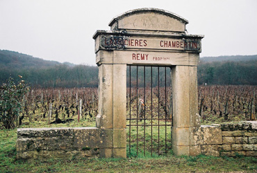 Latricieres chambertin_f