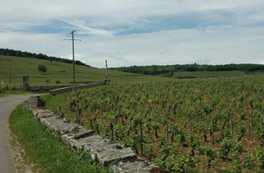 Romanee-Saint-Vivant_f