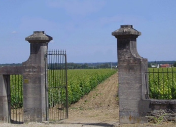 charmes-chambertin_f