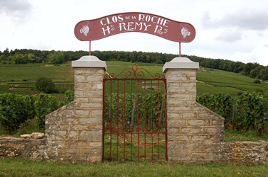 clos de la roche_f