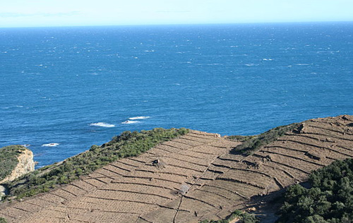 Collioure