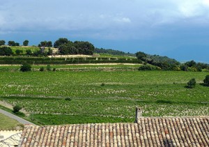 Cotes_du_Rhone_Village_s