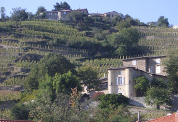 chateau grillet_o