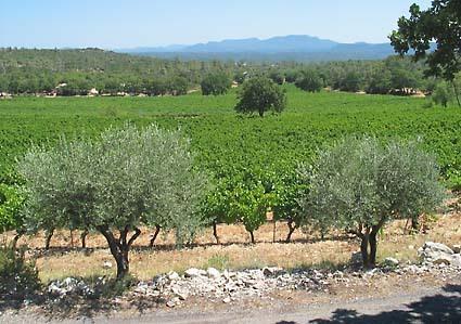 coteaux_varois