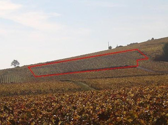 cros-parantoux_vineyards_s