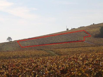 cros-parantoux_vineyards_s