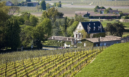 Gaffeliere and vineyard