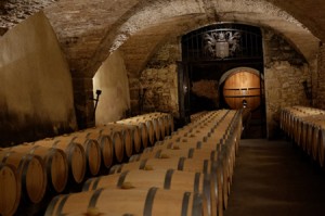 chateau neuf du pape10_s