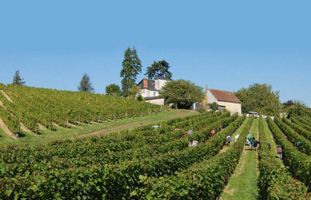 Domaine de la Noblaie