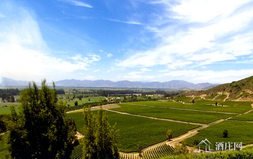 莫莱谷产区 Maule Valley