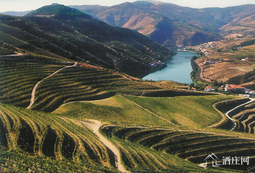 杜罗河产区 Douro