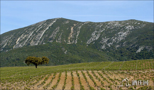 塞图巴尔半岛产区 Peninsula de Setubal