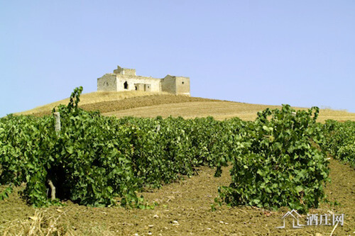 西西里岛产区 Sicily