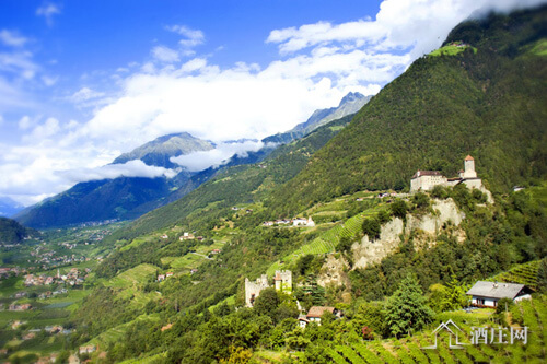 特伦托产区 Trentino-Alto Adige