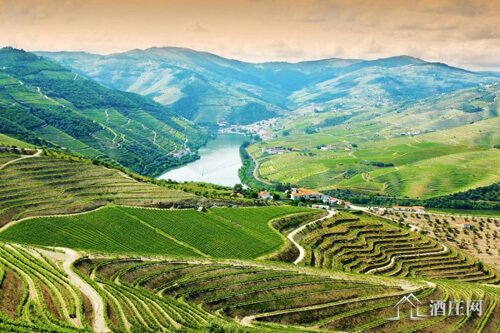维产区 algarve,亚速尔群岛产区 azores,贝拉产区 beiras,百拉达产区