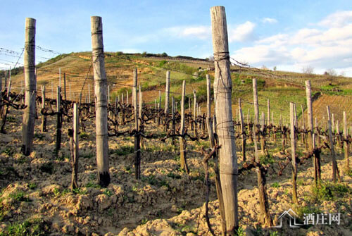 托卡伊产区 Tokaj