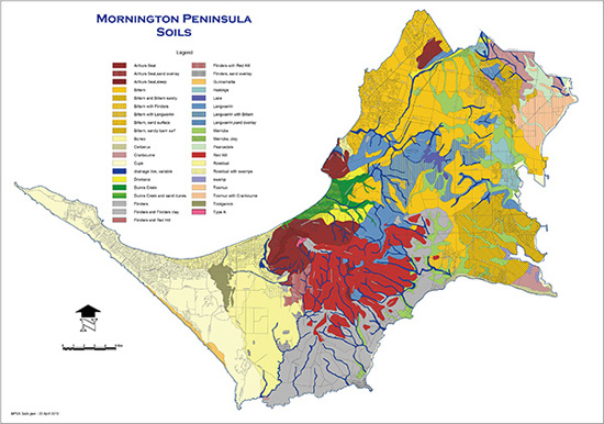 莫宁顿半岛(Mornington Peninsula)