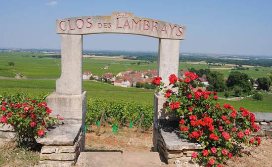 勃艮第名园 Clos des Lambrays