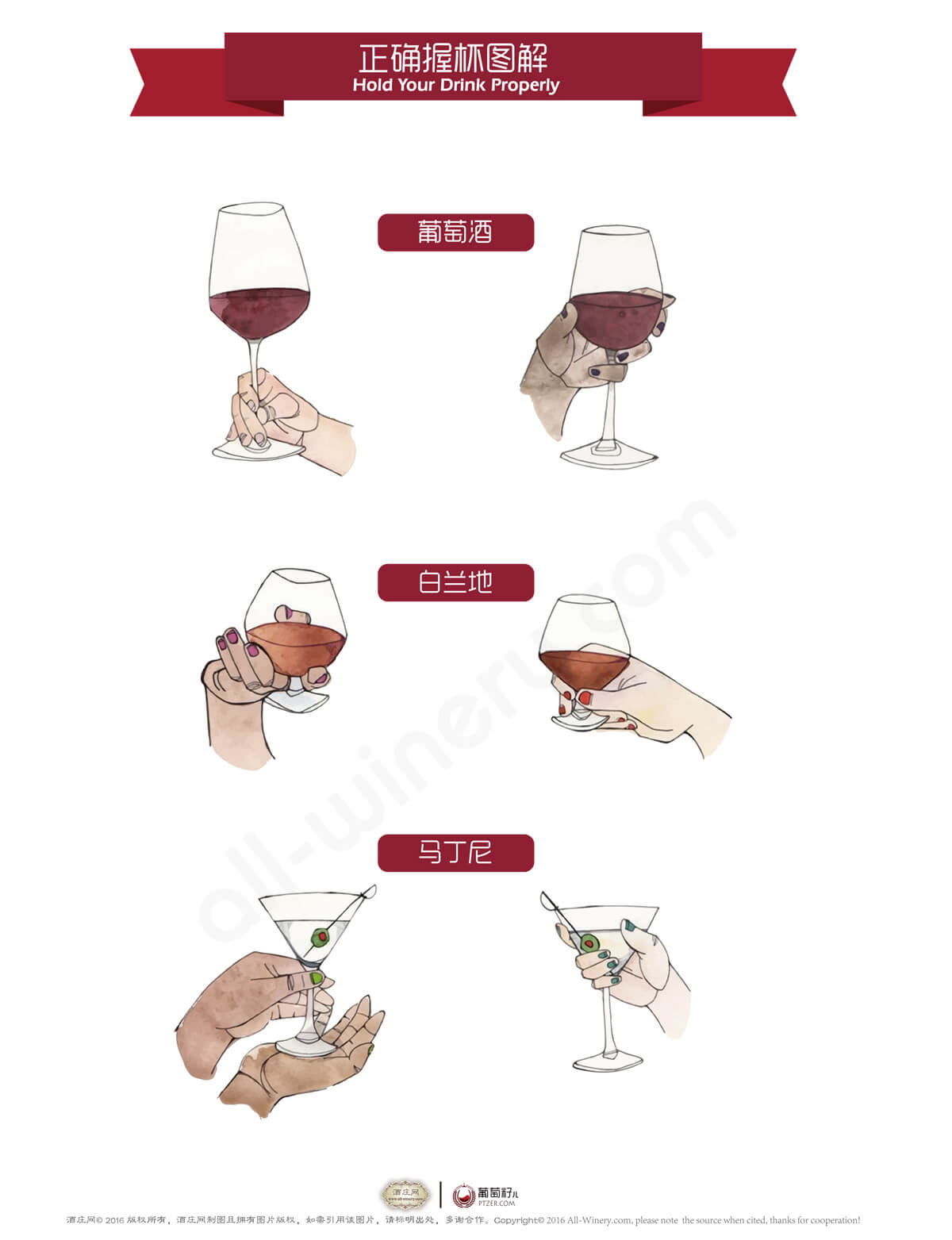 葡萄酒杯，正确的握杯姿势是怎样的？ - 知乎